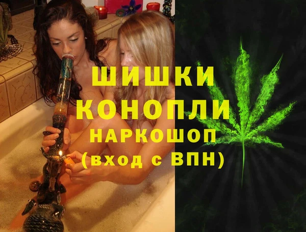 молекула духа Горняк