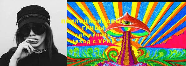хмурый Гусиноозёрск