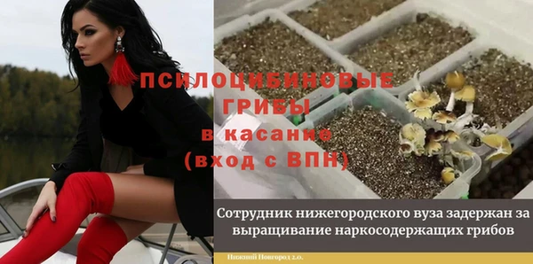 молекула духа Горняк
